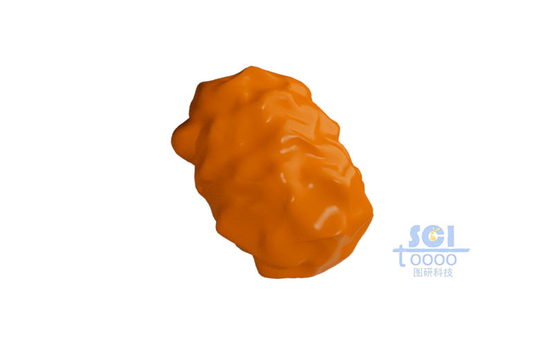 蛋白結(jié)構(gòu)