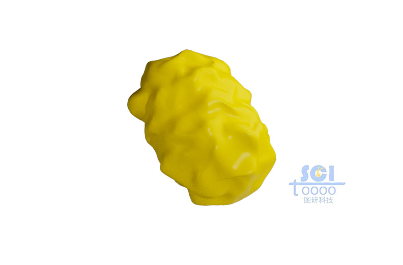 蛋白結(jié)構(gòu)