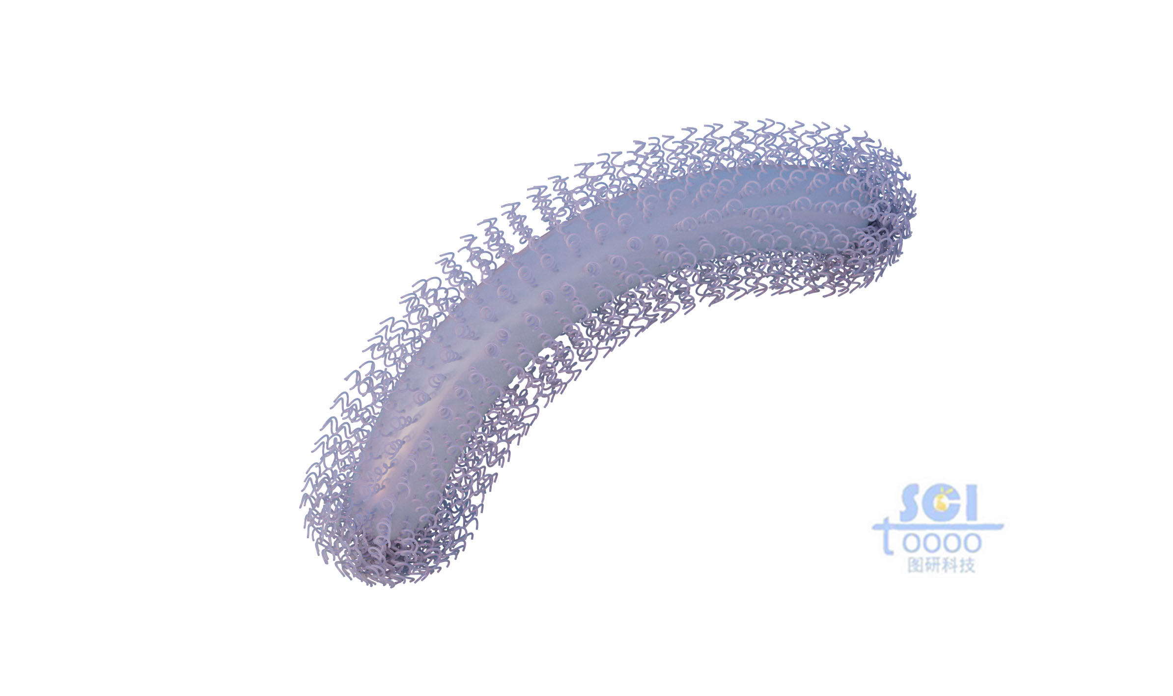 納米線(xiàn)分布的納米棒