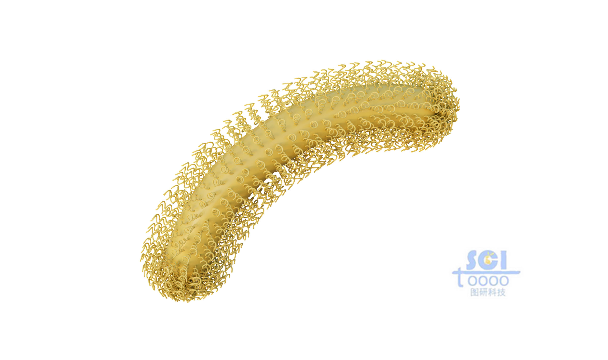 納米線(xiàn)分布的納米棒