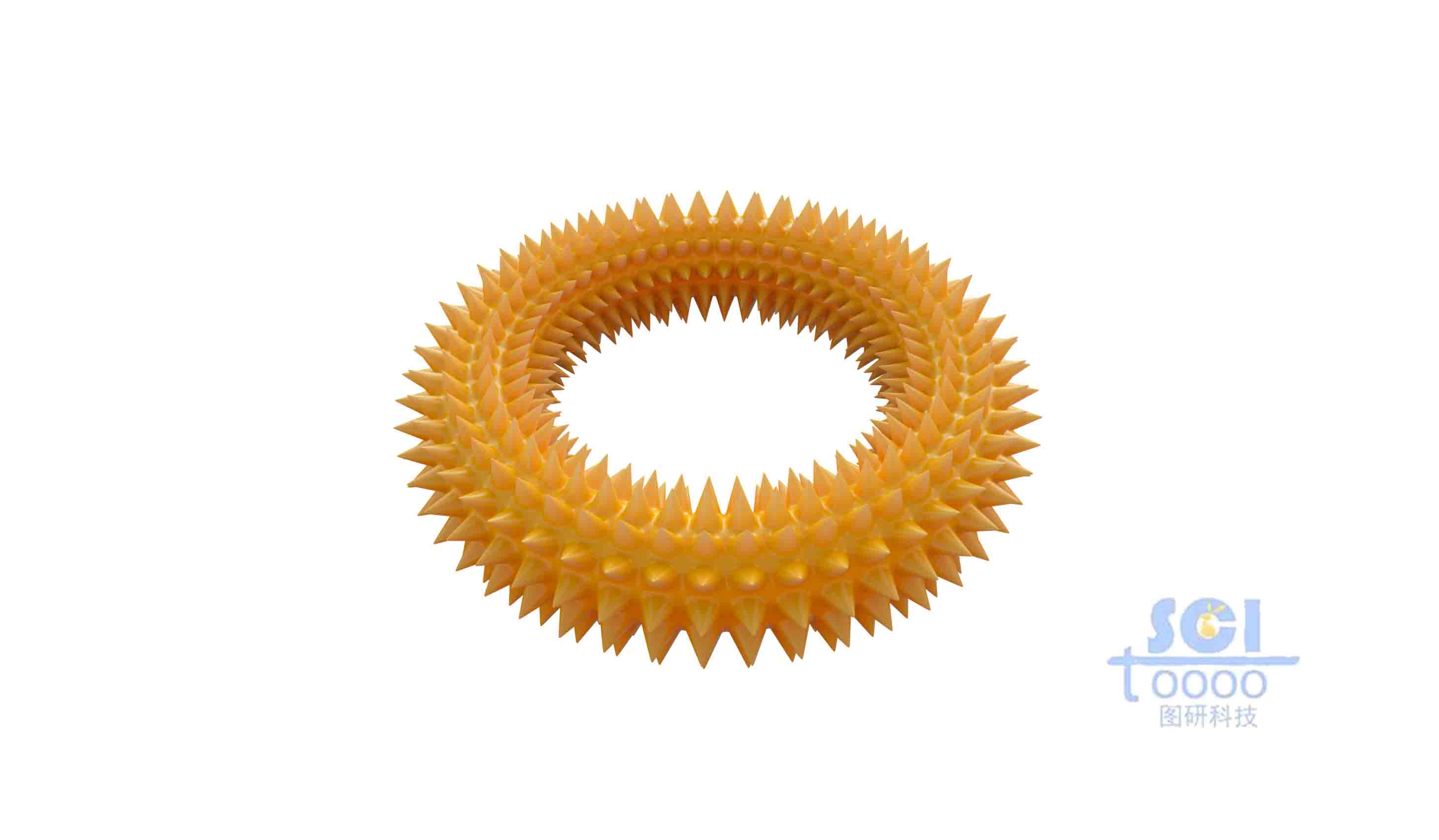 帶刺的圓環(huán)狀納米結(jié)構(gòu)