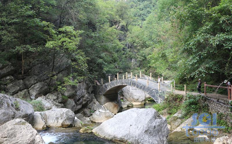 樹素材