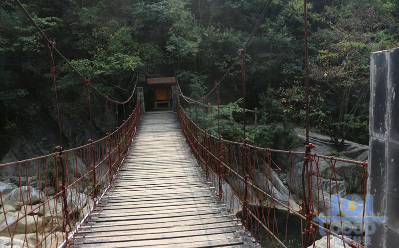 樹素材