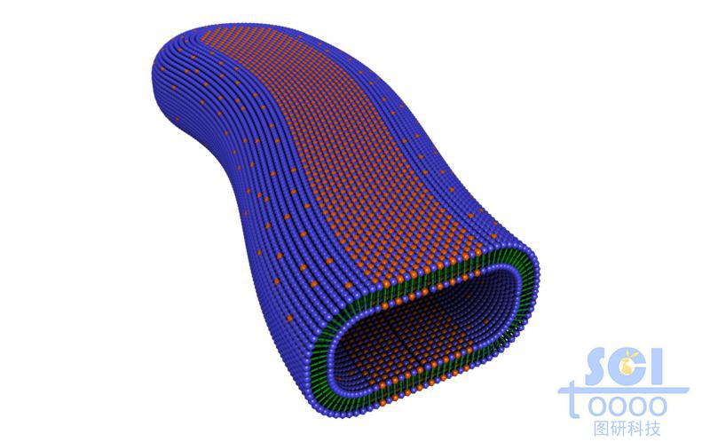 兩種單體構(gòu)成的長(zhǎng)條狀膠束