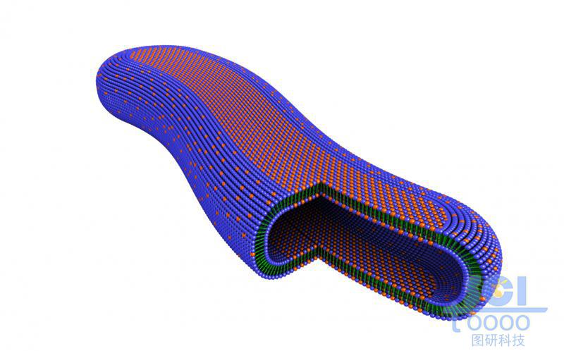 兩種單體構(gòu)成的長(zhǎng)條狀膠束