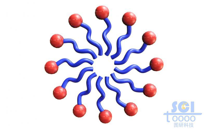 排成圓環(huán)的高分子鏈段示意結(jié)構