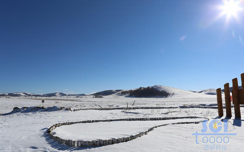 藍(lán)天雪地