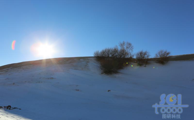 藍(lán)天雪地