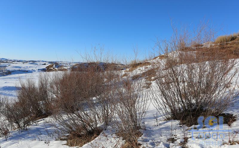 藍(lán)天雪地