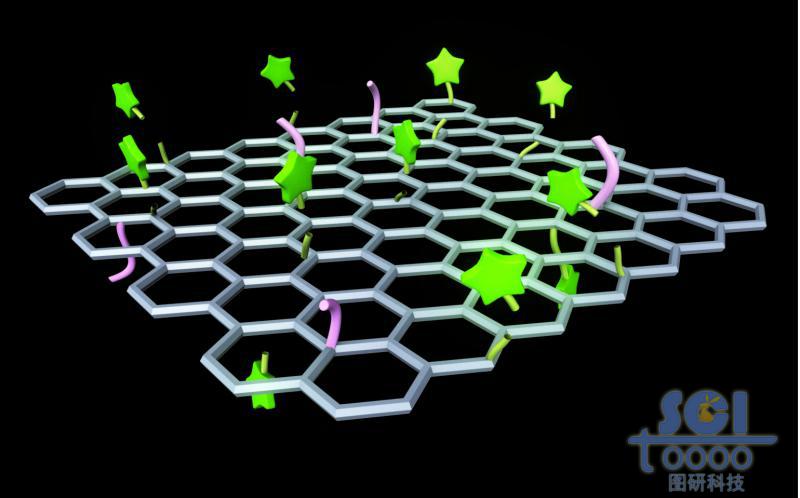 負(fù)載小分子基團(tuán)和分子鏈段的石墨烯片